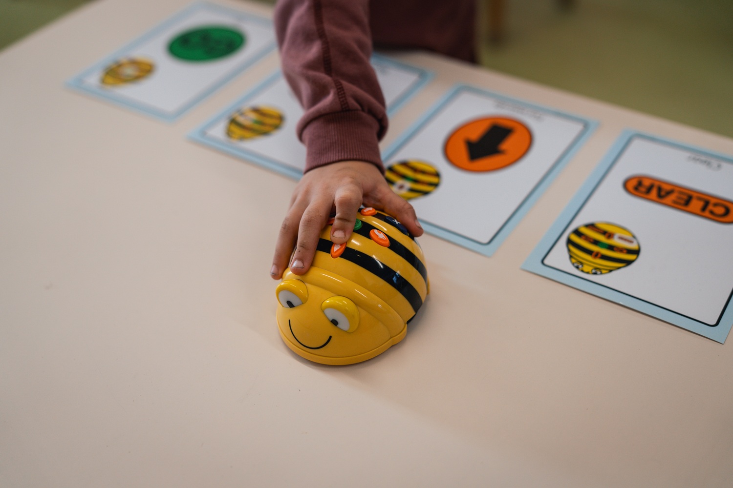 Leren programmeren met de bee-bot